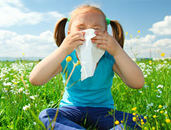 HVAC Unit Cleaning stafford tx