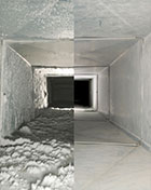 carpet cleaning stafford tx